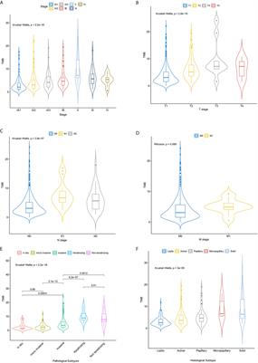 Integrating Histologic and Genomic Characteristics to Predict Tumor Mutation Burden of Early-Stage Non-Small-Cell Lung Cancer